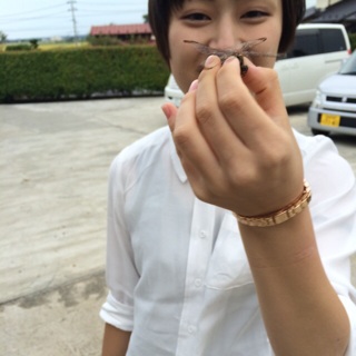 f:id:mmmitn:20140915204635j:plain f:id:mmmitn:20140915204635j:plain