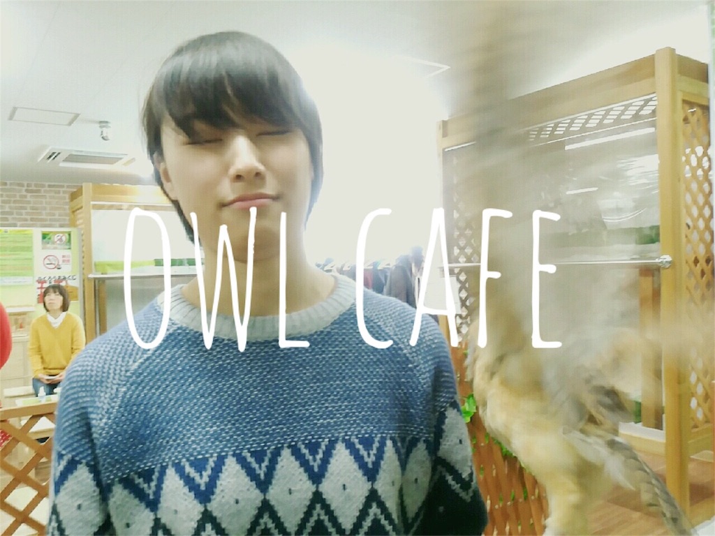 f:id:mmmitn:20160223013438j:image f:id:mmmitn:20160223013438j:image