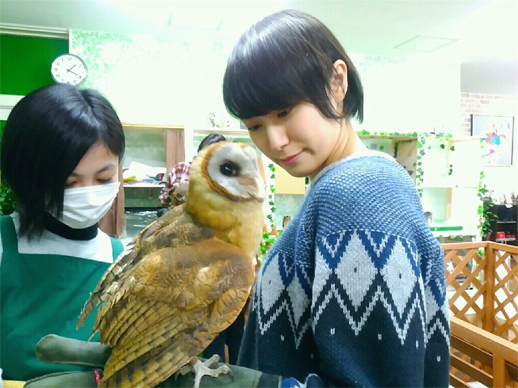 f:id:mmmitn:20160223014029j:image f:id:mmmitn:20160223014029j:image