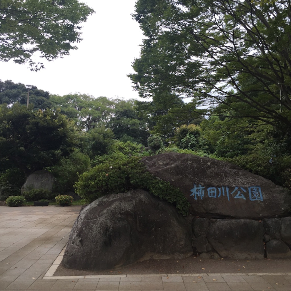 f:id:mmmryo:20150906190833j:image f:id:mmmryo:20150906190833j:image