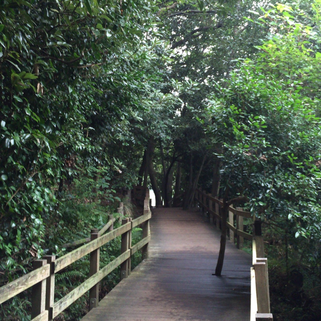 f:id:mmmryo:20150906191750j:image f:id:mmmryo:20150906191750j:image