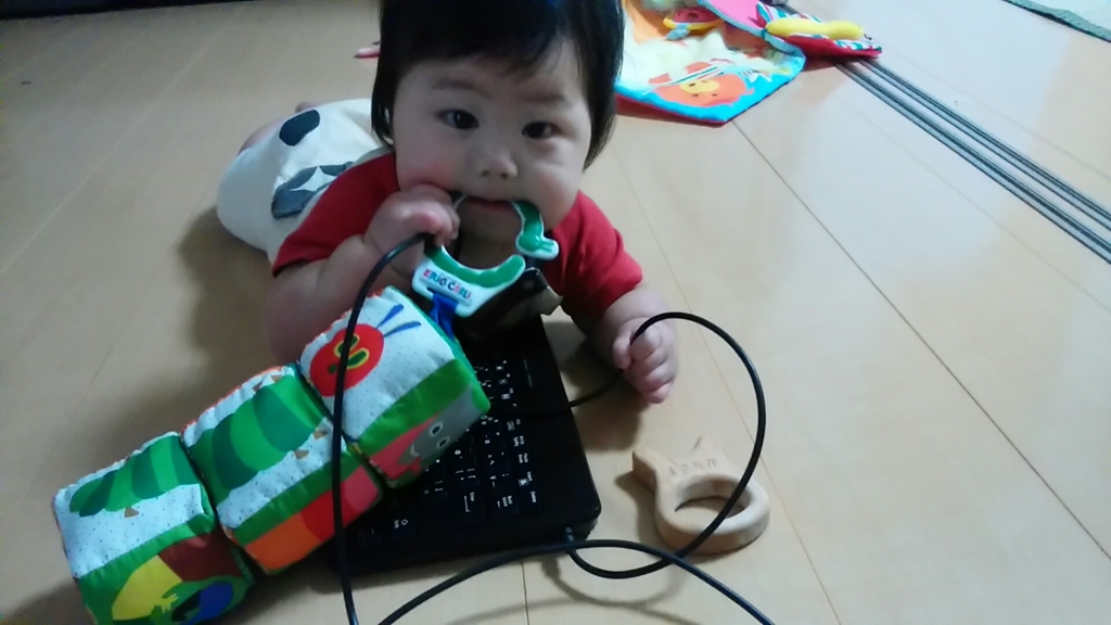 f:id:mndk3594:20151116001456j:plain f:id:mndk3594:20151116001456j:plain