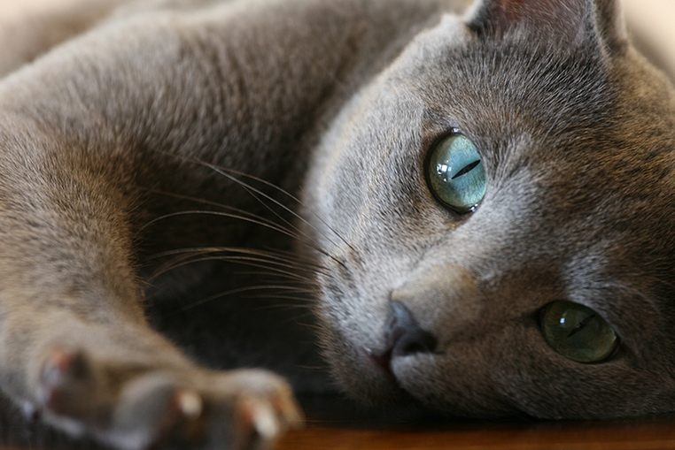 f:id:mo88mo:20150826144539j:plain f:id:mo88mo:20150826144539j:plain