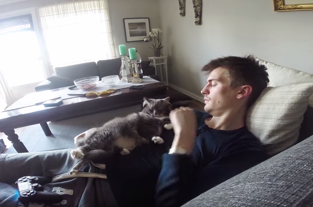 f:id:mo88mo:20150829161210j:plain