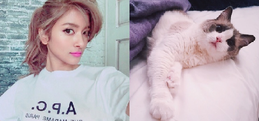 f:id:mo88mo:20151020075446p:plain