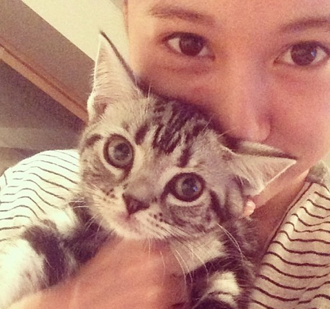 f:id:mo88mo:20151020083022p:plain