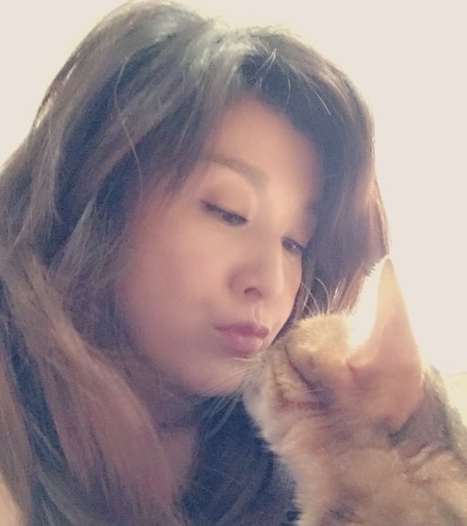 f:id:mo88mo:20151020084711p:plain