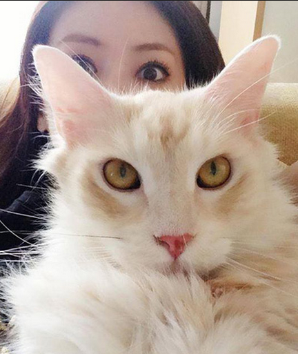 f:id:mo88mo:20151020113253p:plain