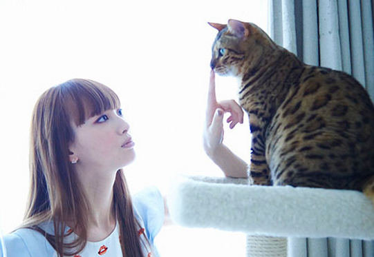 f:id:mo88mo:20151020115214p:plain