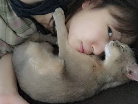 f:id:mo88mo:20151020121102p:plain