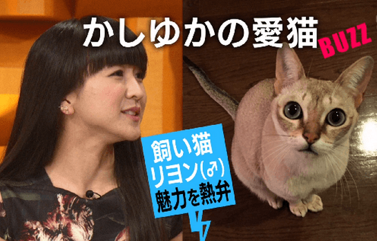 f:id:mo88mo:20151020121613p:plain