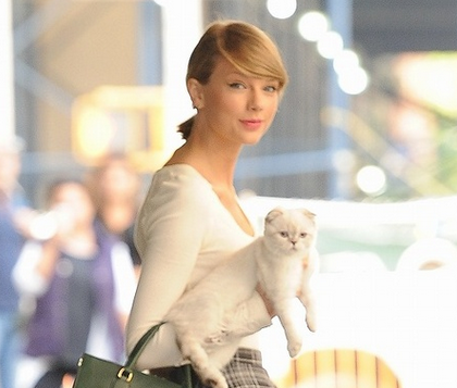 f:id:mo88mo:20151020123524p:plain