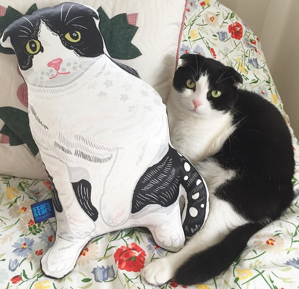 f:id:mo88mo:20151021145903p:plain