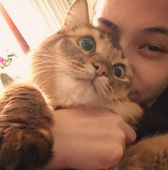 f:id:mo88mo:20151021150053p:plain