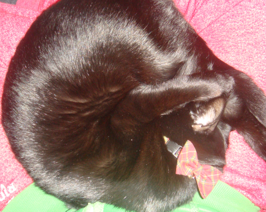 f:id:mo88mo:20151102171211p:plain