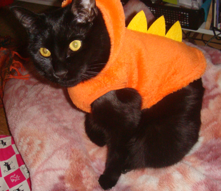 f:id:mo88mo:20160117170339p:plain