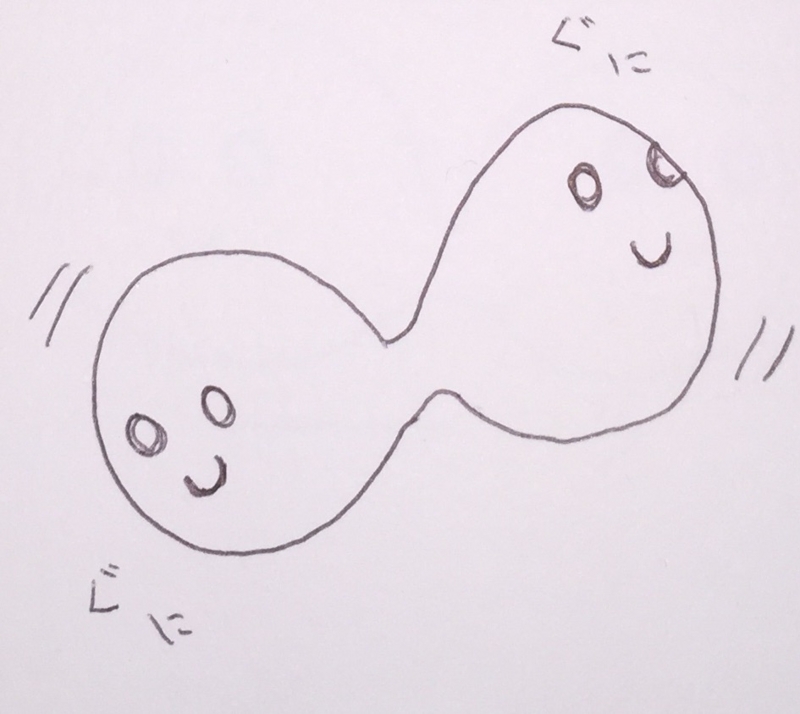 f:id:mochimochimanju:20150529181634j:plain f:id:mochimochimanju:20150529181634j:plain