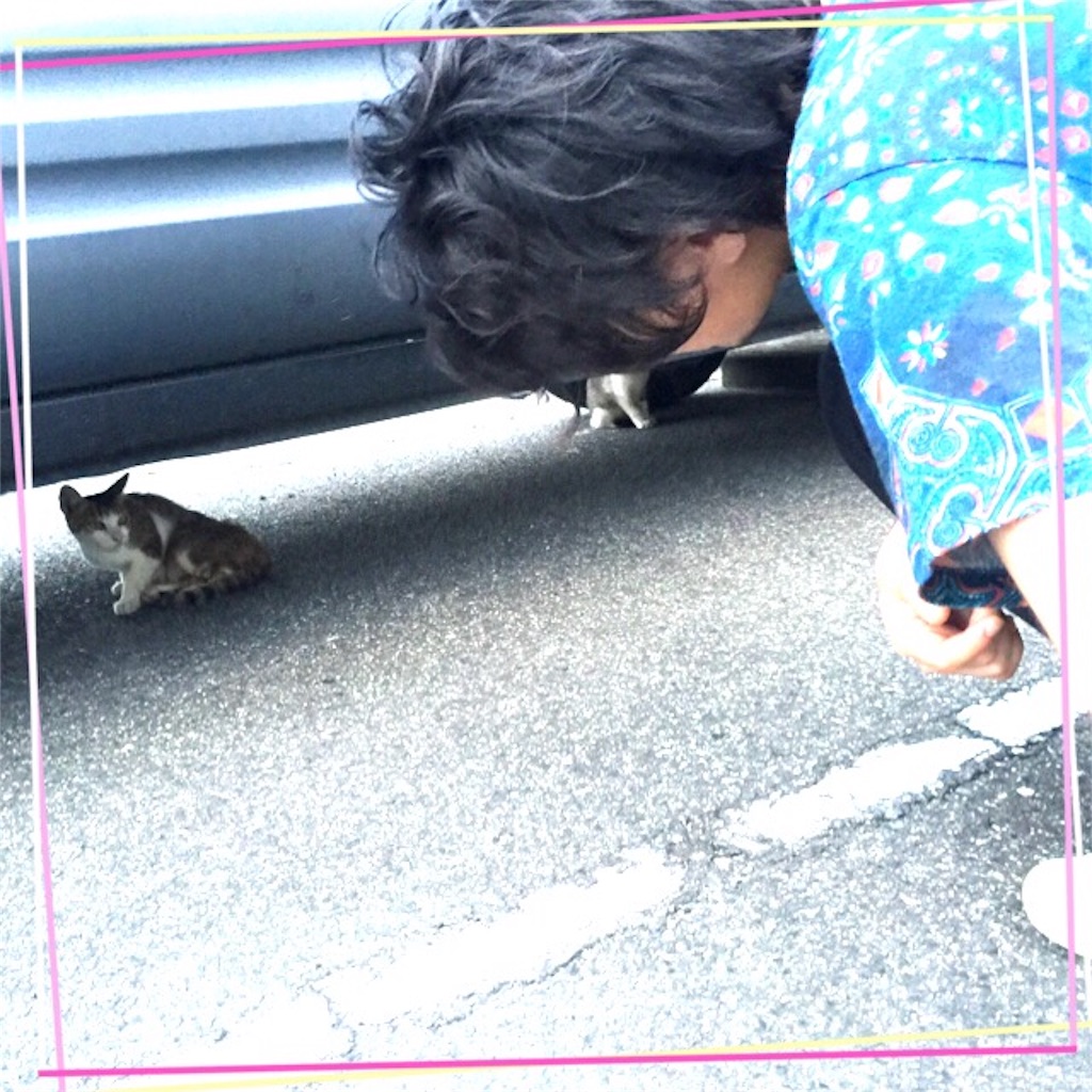 f:id:mochimochimochico:20160320084715j:image f:id:mochimochimochico:20160320084715j:image