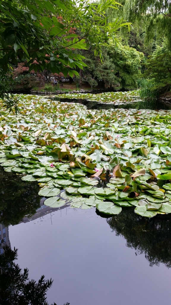 f:id:modern-clothes:20150802103038j:plain