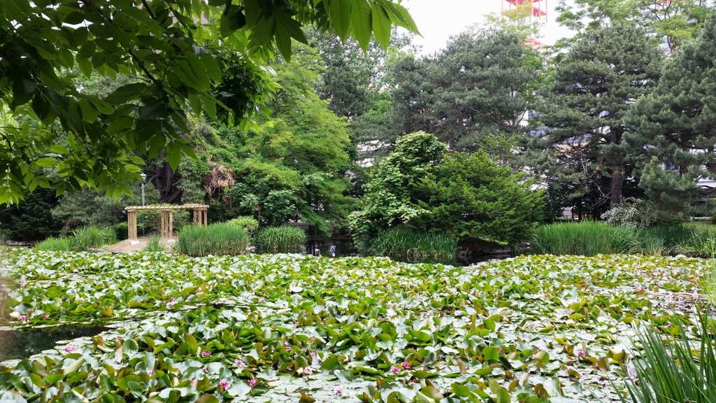 f:id:modern-clothes:20150802103113j:plain