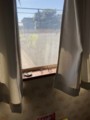 http://cdn-ak.f.st-hatena.com/images/fotolife/m/moecoco/20180710/20180710111713.jpg