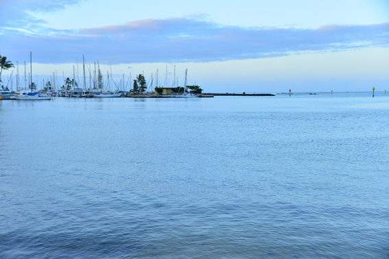 f:id:mofutofu:20130607010259j:plain