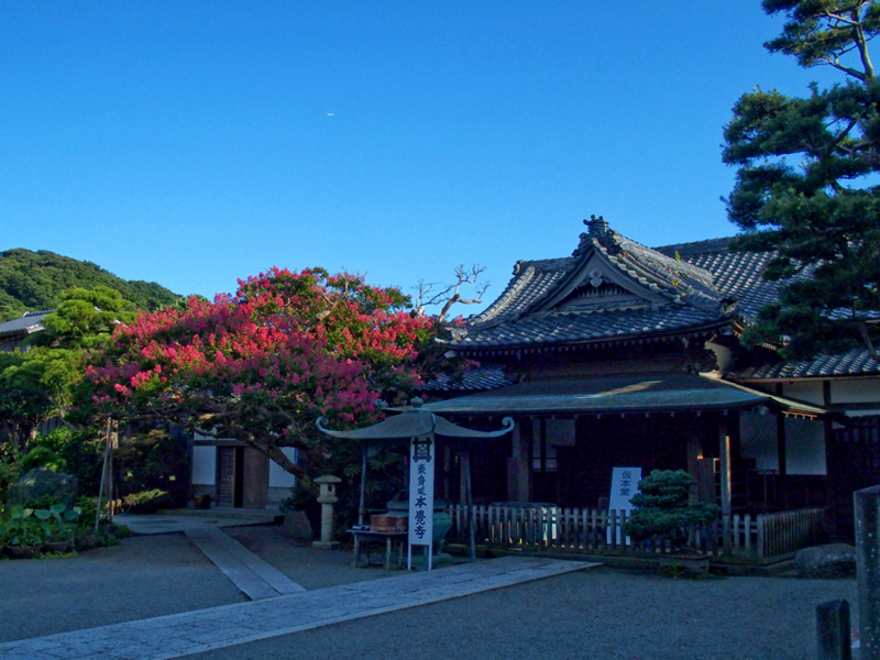 f:id:mofutofu:20140910004748j:plain