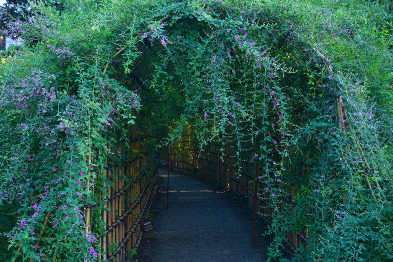 f:id:mofutofu:20140914001618j:plain