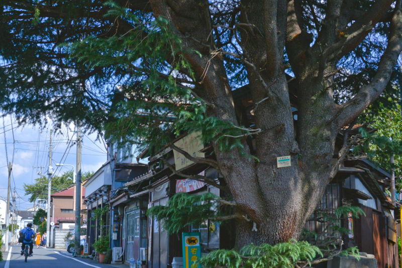 f:id:mofutofu:20140914001746j:plain