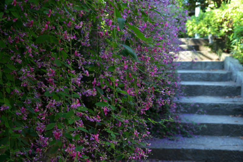 f:id:mofutofu:20140924215702j:plain