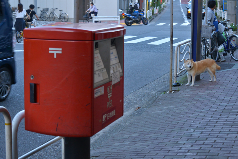 f:id:mofutofu:20140929021518j:plain