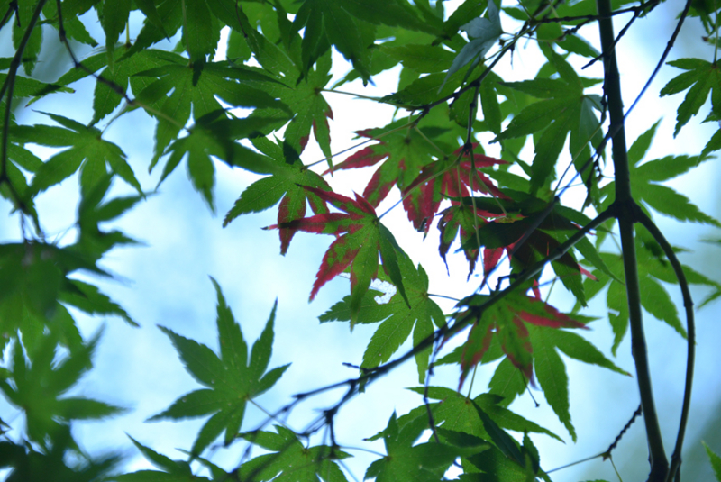 f:id:mofutofu:20141011221148j:plain f:id:mofutofu:20141011221148j:plain