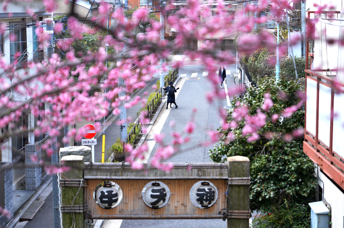 f:id:mofutofu:20150302230249j:plain f:id:mofutofu:20150302230249j:plain