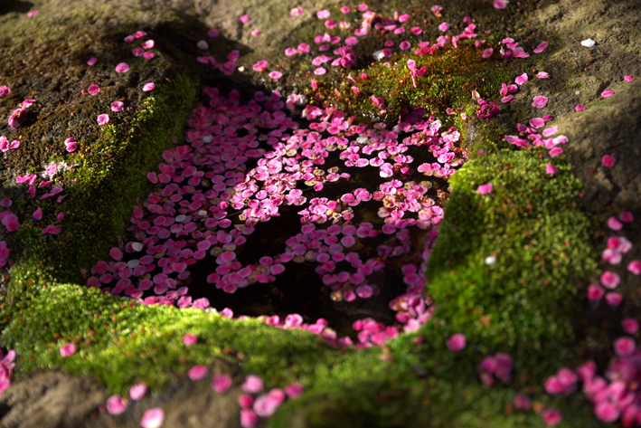 f:id:mofutofu:20150302230258j:plain f:id:mofutofu:20150302230258j:plain