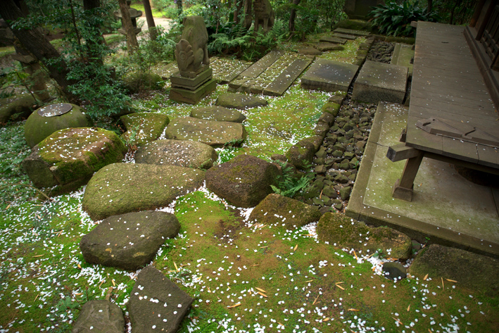 f:id:mofutofu:20150406002931j:plain