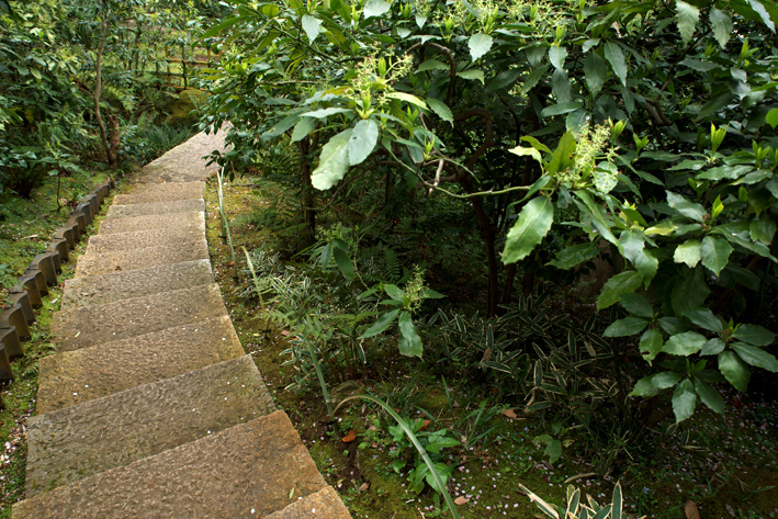 f:id:mofutofu:20150406003131j:plain