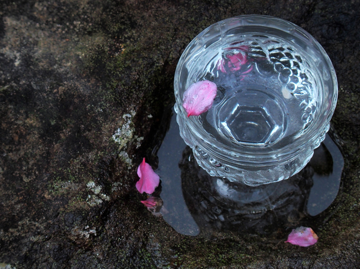 f:id:mofutofu:20150413230220j:plain