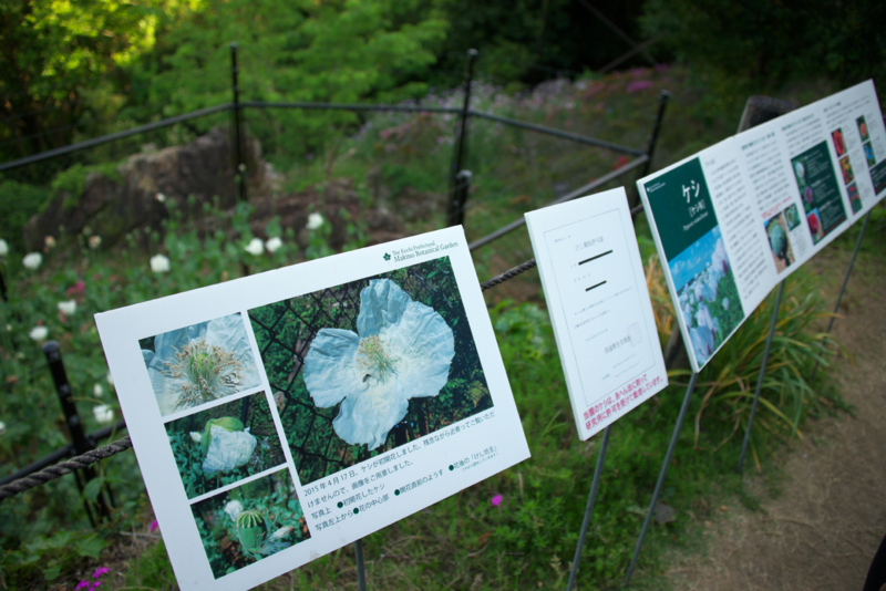 f:id:mofutofu:20150507010444j:plain f:id:mofutofu:20150507010444j:plain