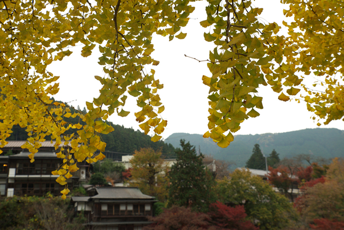 f:id:mofutofu:20151123003702j:plain f:id:mofutofu:20151123003702j:plain