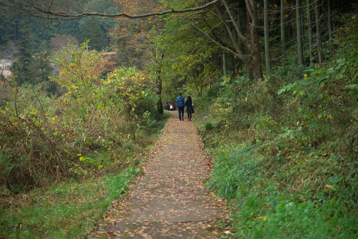 f:id:mofutofu:20151123003711j:plain f:id:mofutofu:20151123003711j:plain