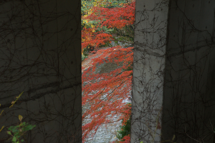 f:id:mofutofu:20151123003721j:plain f:id:mofutofu:20151123003721j:plain