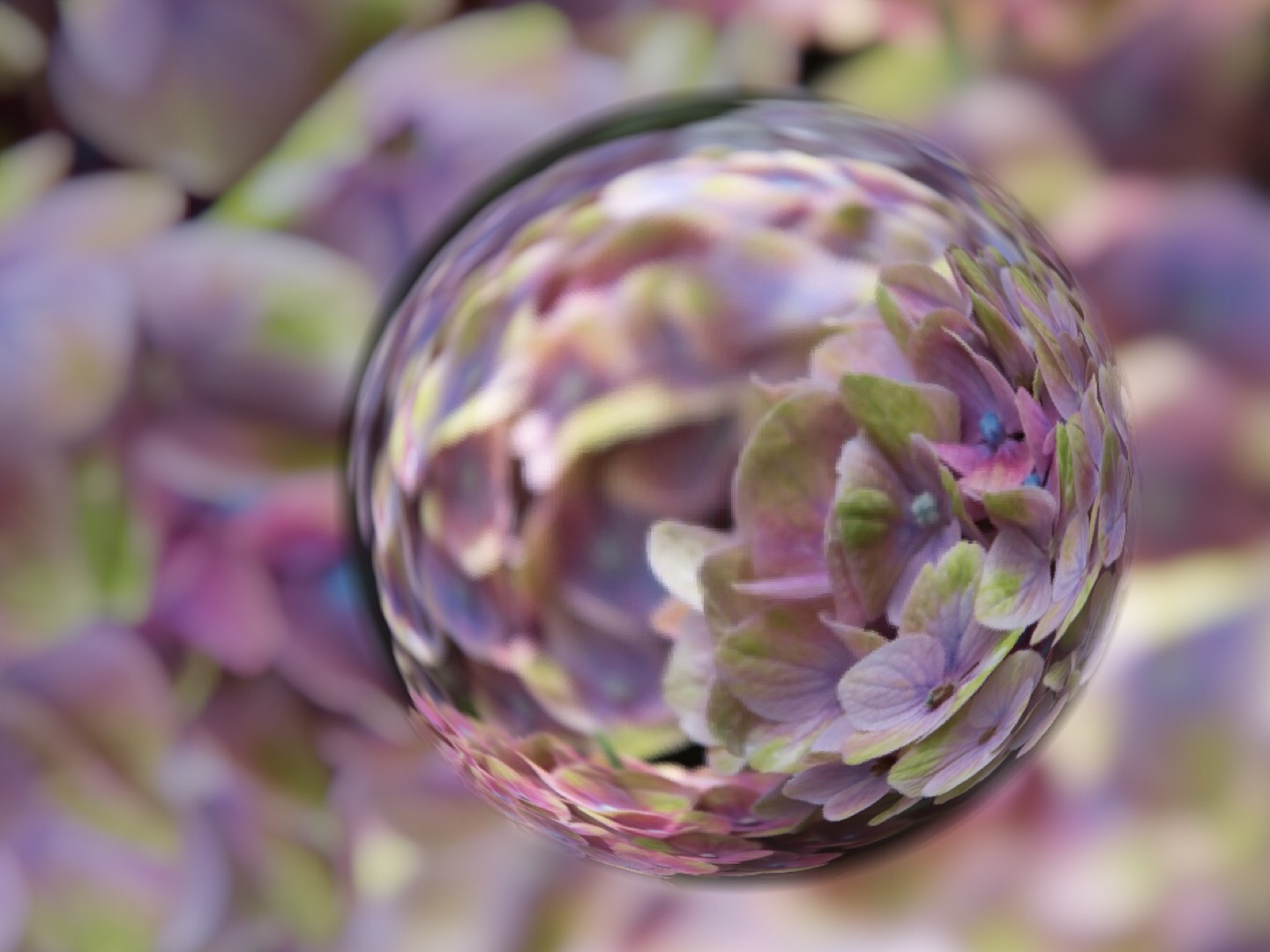 f:id:moistenball:20150724123923j:image f:id:moistenball:20150724123923j:image