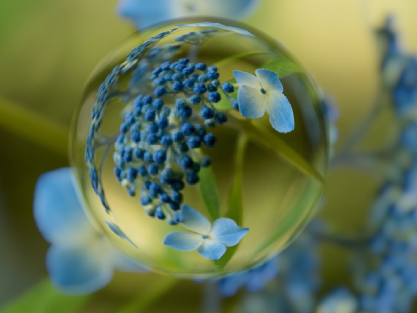f:id:moistenball:20150724123940j:image f:id:moistenball:20150724123940j:image