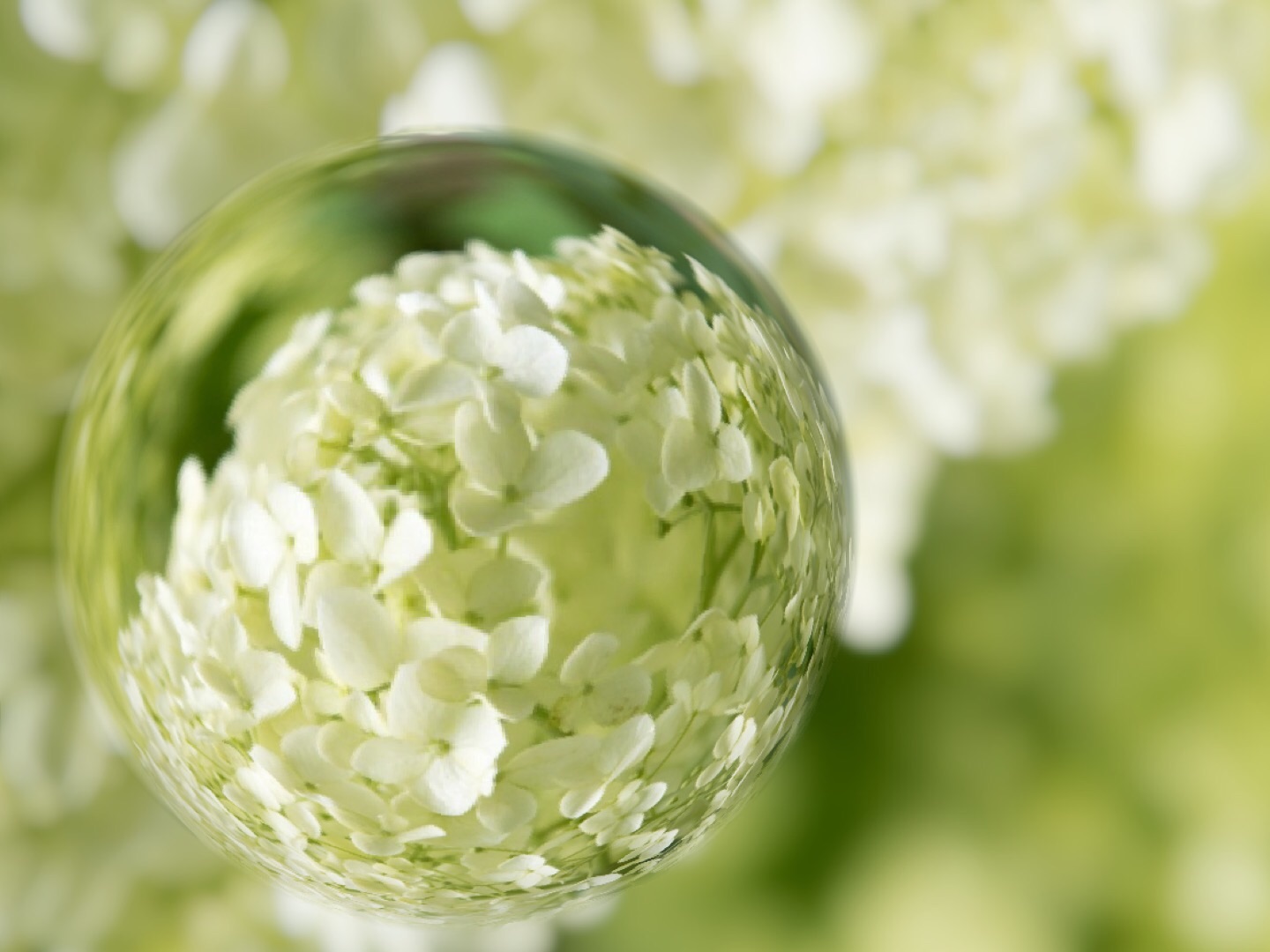 f:id:moistenball:20150724123945j:image f:id:moistenball:20150724123945j:image