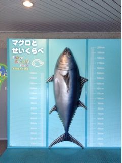 f:id:moji_mojika:20150721200409j:plain f:id:moji_mojika:20150721200409j:plain