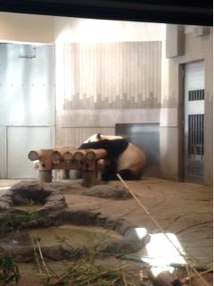 f:id:moji_mojika:20150804055927j:plain f:id:moji_mojika:20150804055927j:plain