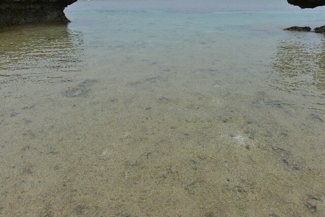 f:id:mokamokano:20150504154406j:image f:id:mokamokano:20150504154406j:image