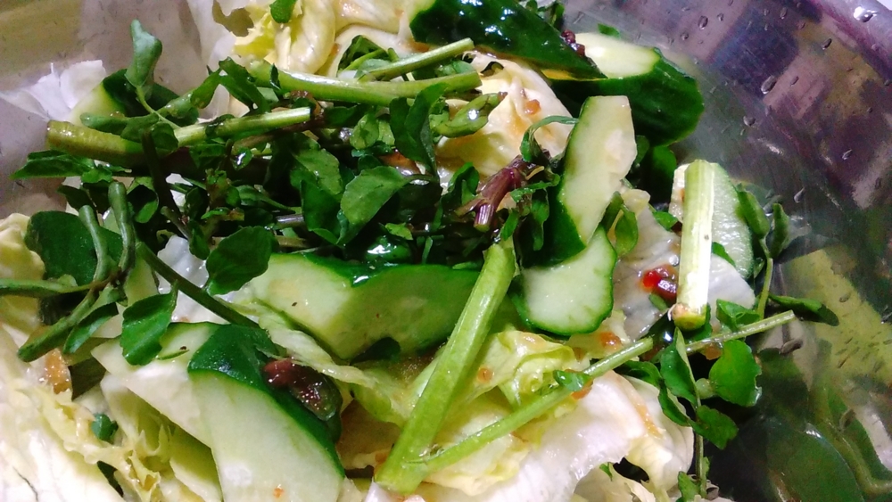 f:id:moko619:20150520035114j:plain