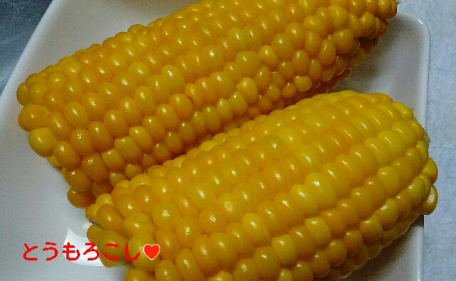 f:id:moko619:20150805211652j:plain