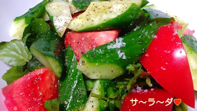 f:id:moko619:20160117093319j:plain